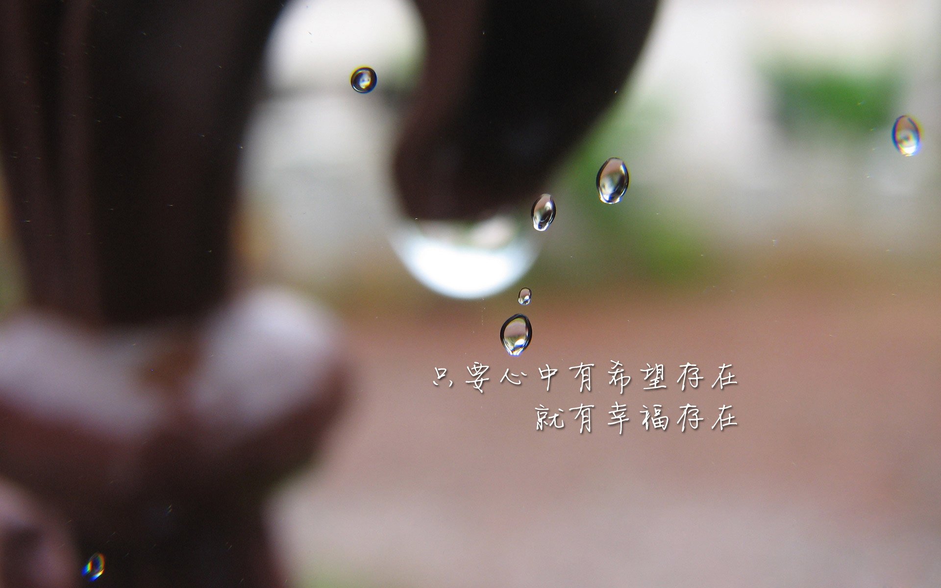 _老鹰年轻球员表现出色，焕发新气象_，老鹰球员阵容