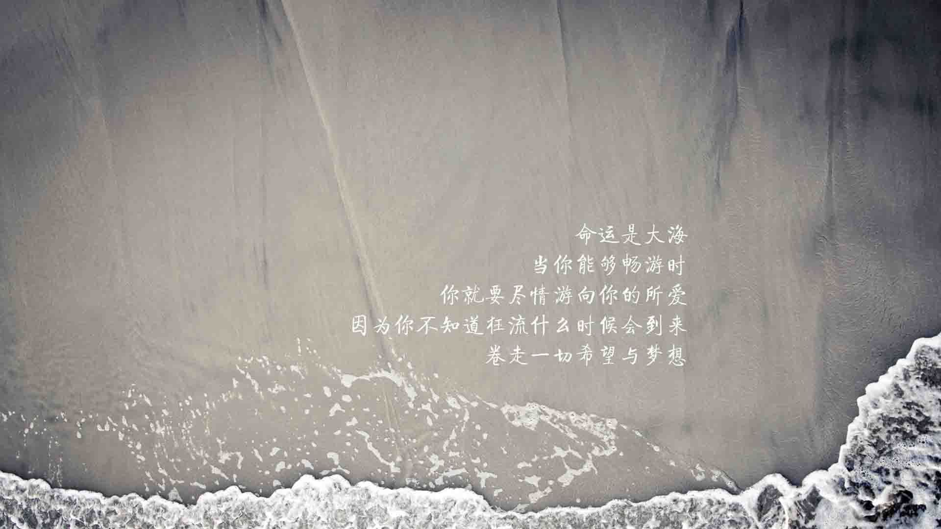 史上最激烈“死磕战”大回顾，《死磕》