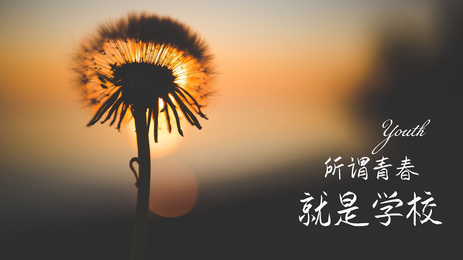 壁球世界赛：体力与战术的双重挑战，壁球比赛视频