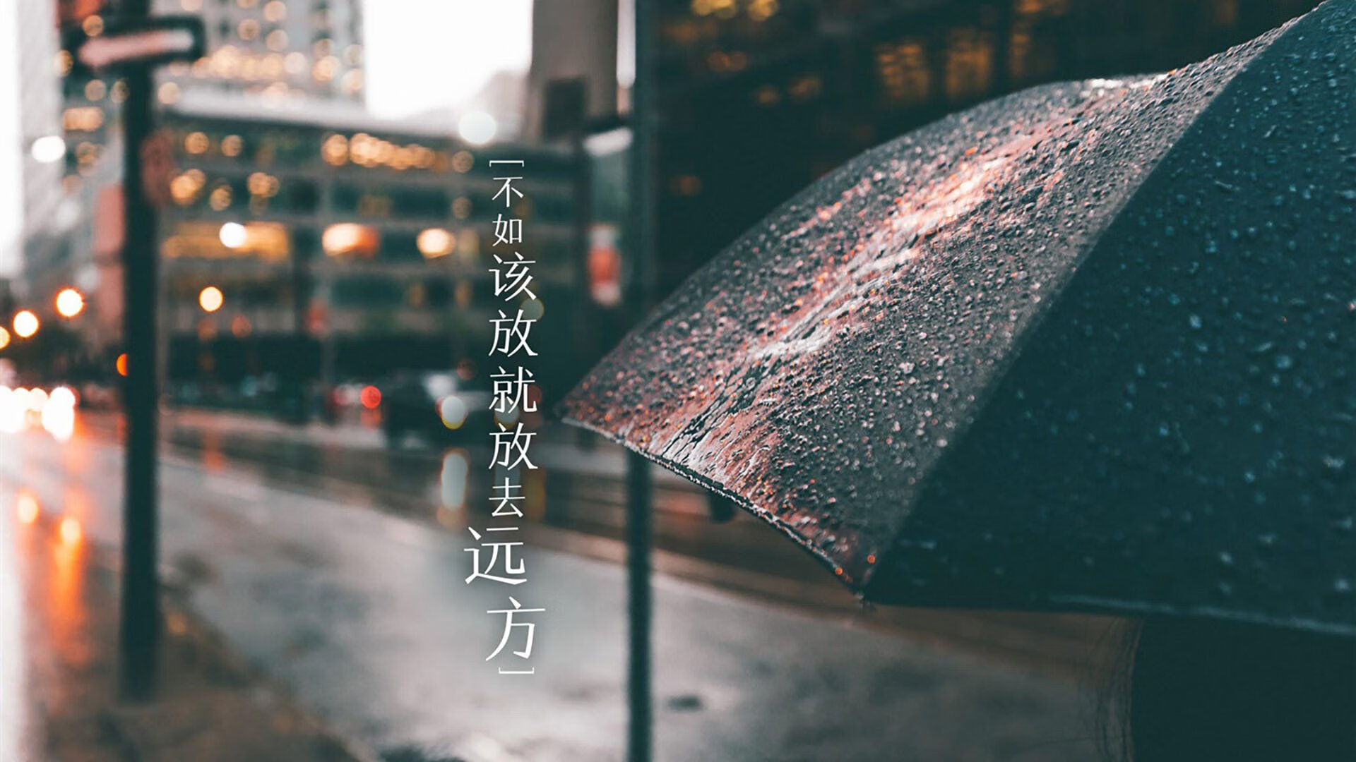排球联赛精彩对决，劲旅强强碰撞，排球竞技