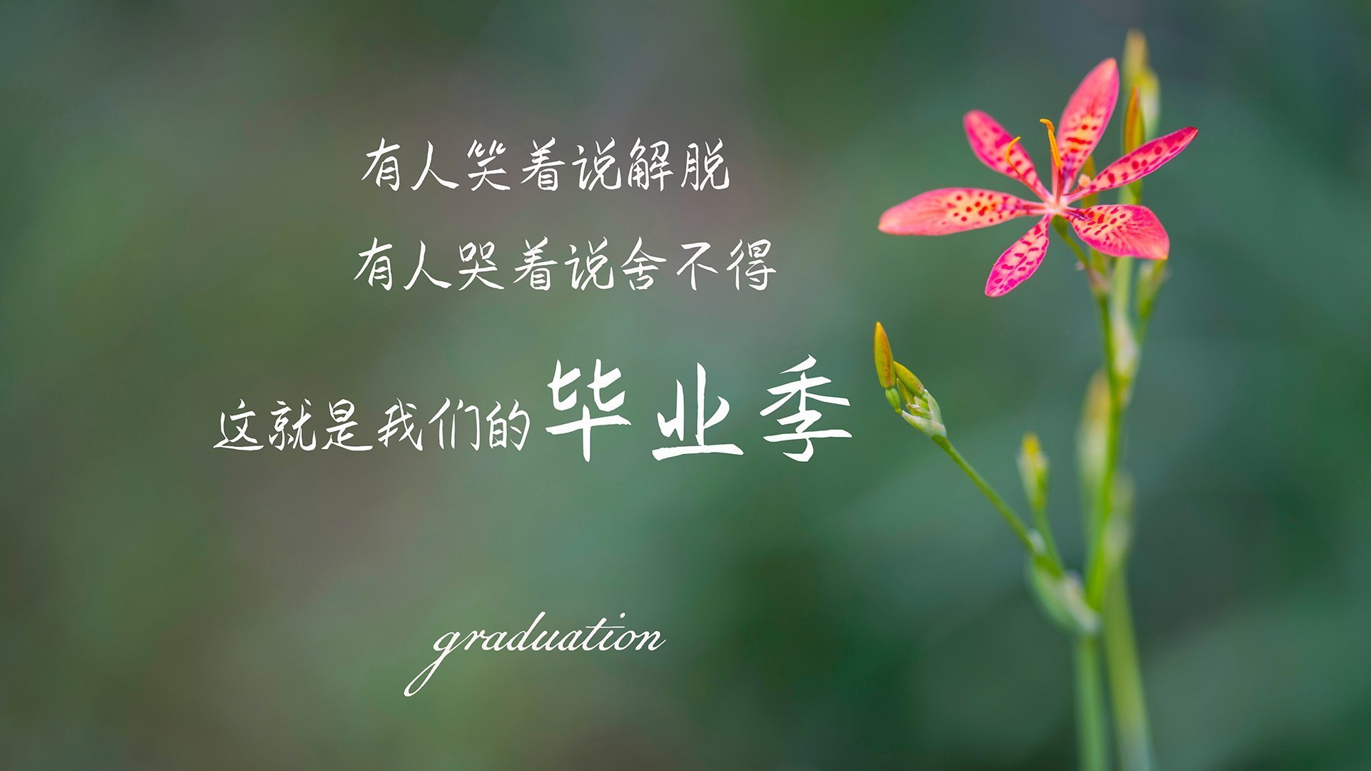 运动员成长：新秀到明星的蜕变之路，从运动员到演员的明星