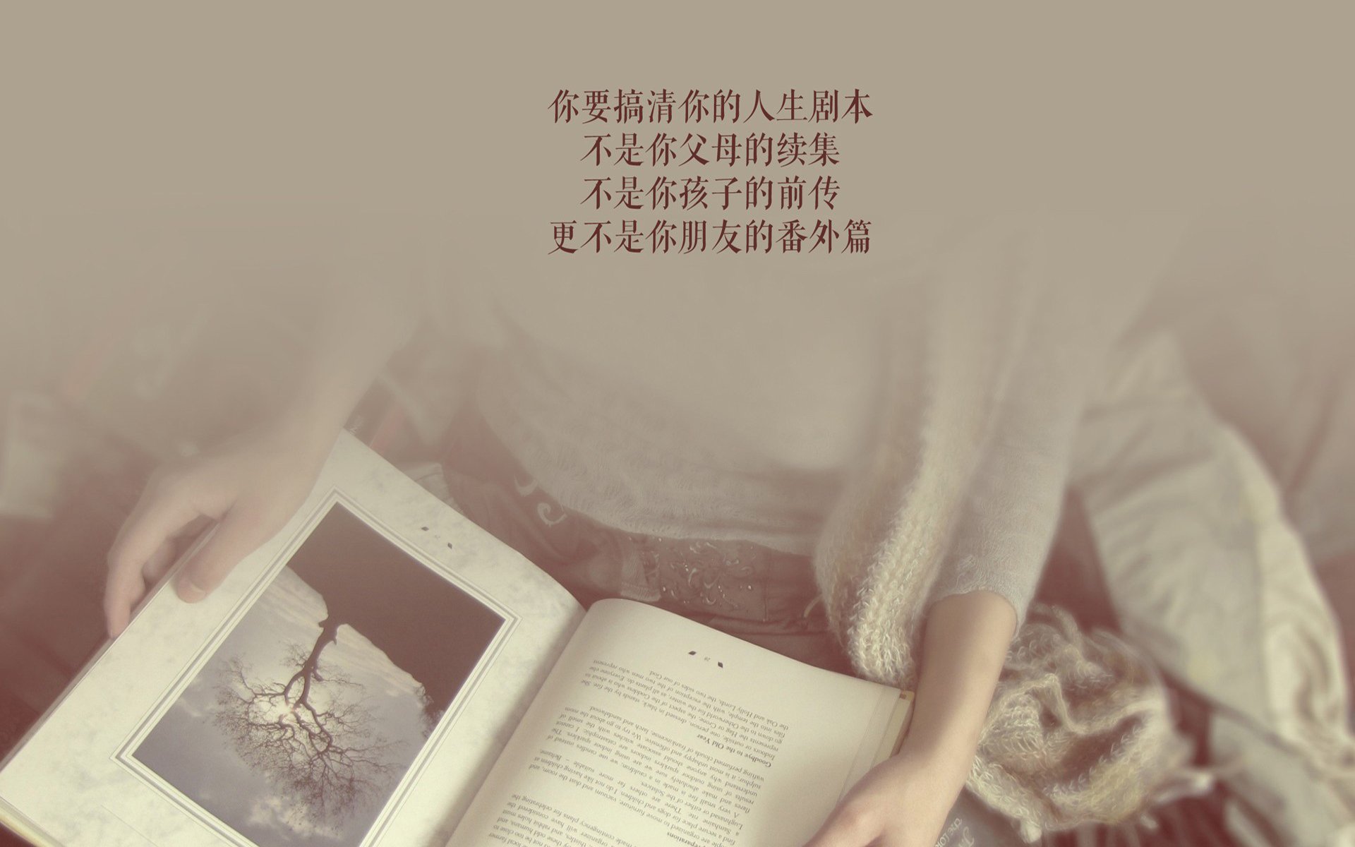丹麦选手 dev1ce 与瑞典战队 NiP 合作备战 Major，丹麦组合en dag
