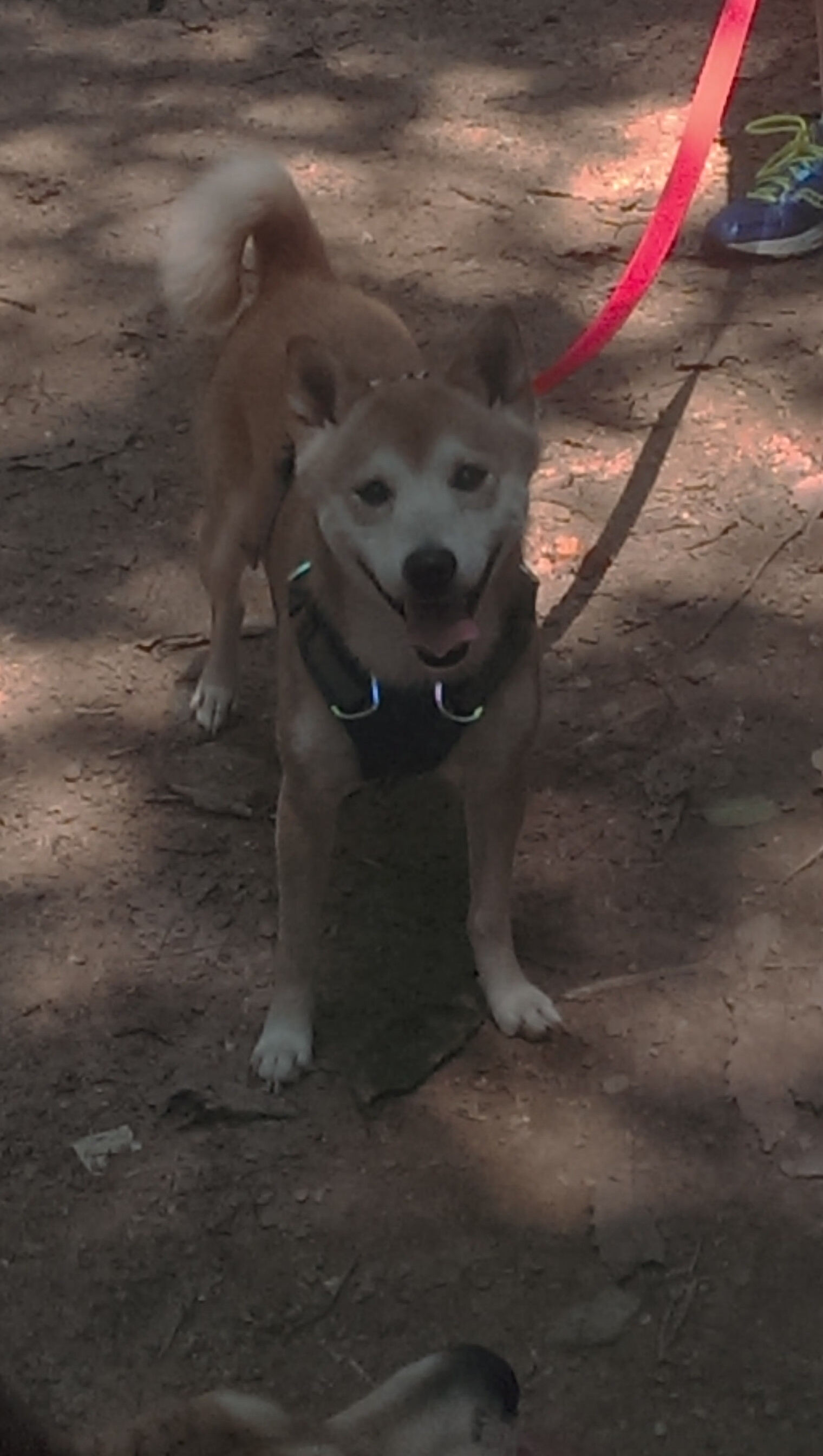 亿级奖金回报无奈出局，尤文盈利战绩夹缝中求存，尤文经典比赛