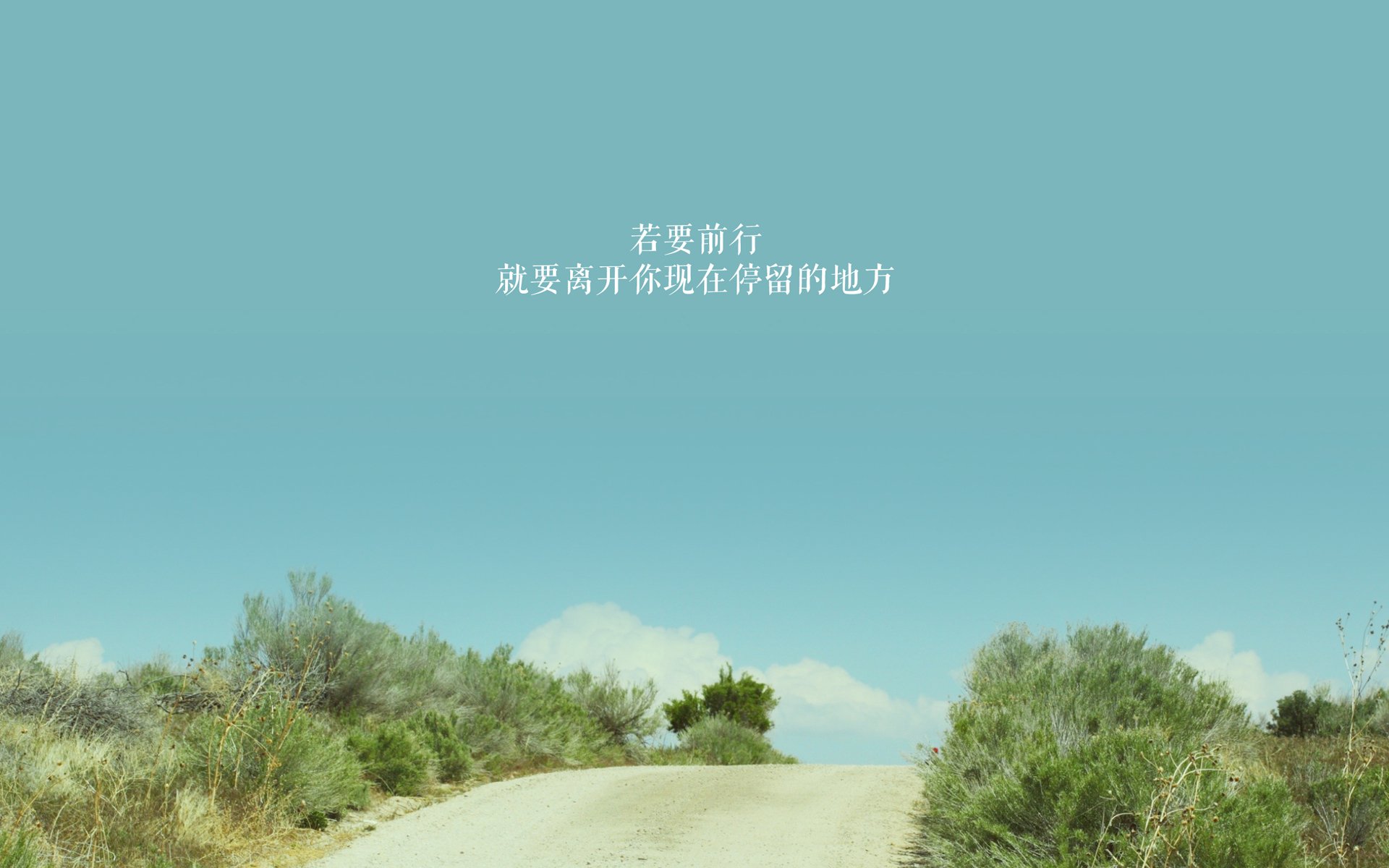 女子蝶泳转身入水精度澳洲领先，蝶泳比赛转身规则