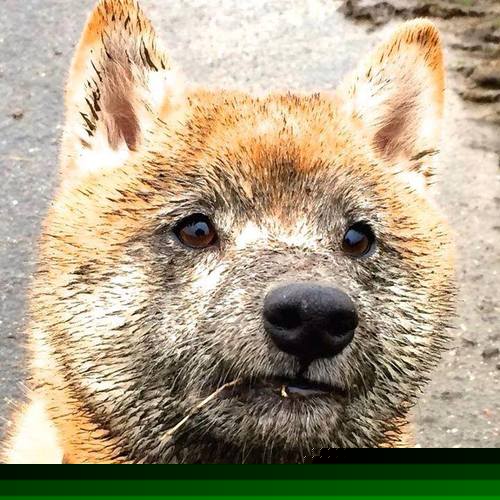 体育新闻中心发布运动员公益活动登记办法，体育公益组织