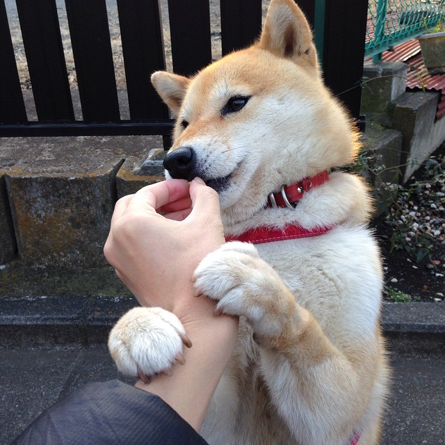 李恩：全黑队的“中场能量”，突破速度与传球技巧相得益彰