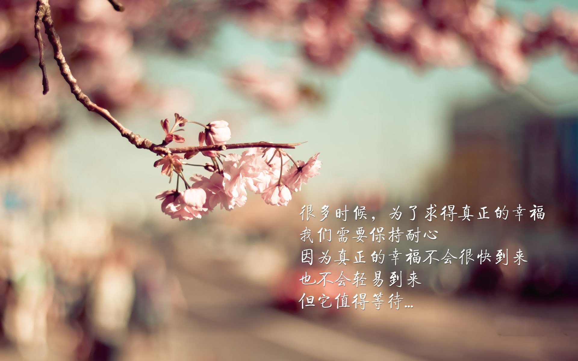 水球小组赛中立代表队A表现顽强，中国水球小组排名