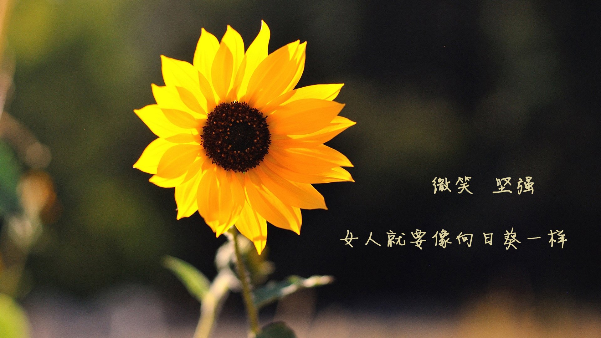 法国青训计划加速，吸引大量年轻才俊加入，法国青训最好的是哪些俱乐部