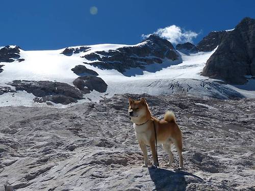特色足球场馆引入多功能智能娱乐系统，提升用户体验，足球场管理软件