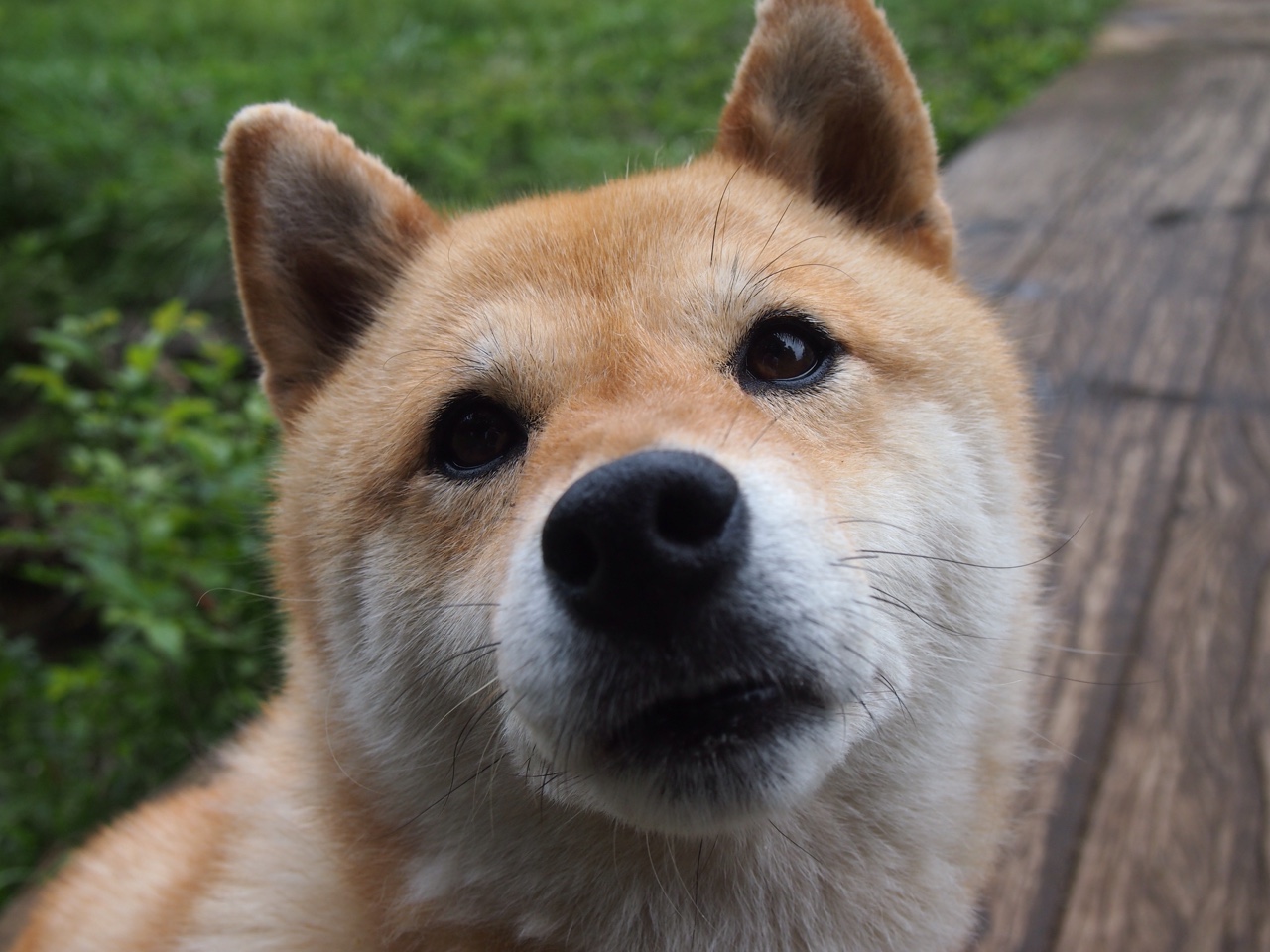 贝尔哈德·福特：通过全方位的技术贡献，为全黑队铺平胜利之路